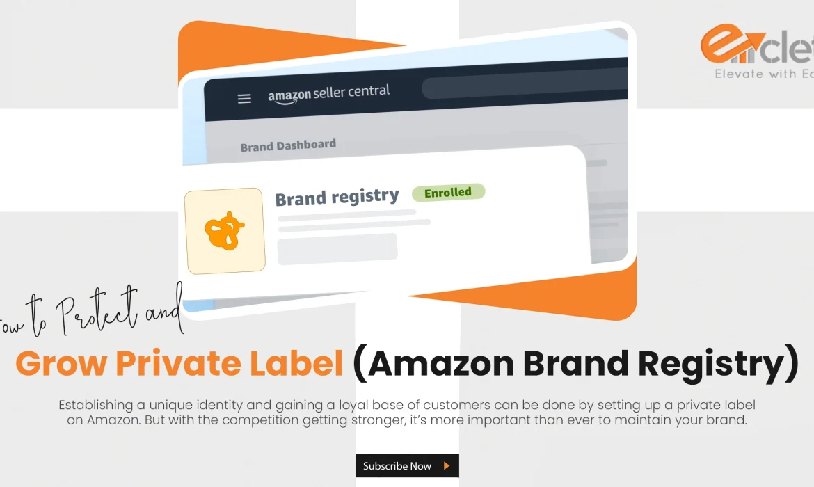 How to Protect and Grow Private Label (Amazon Brand Registry)