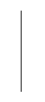 Vertical Line