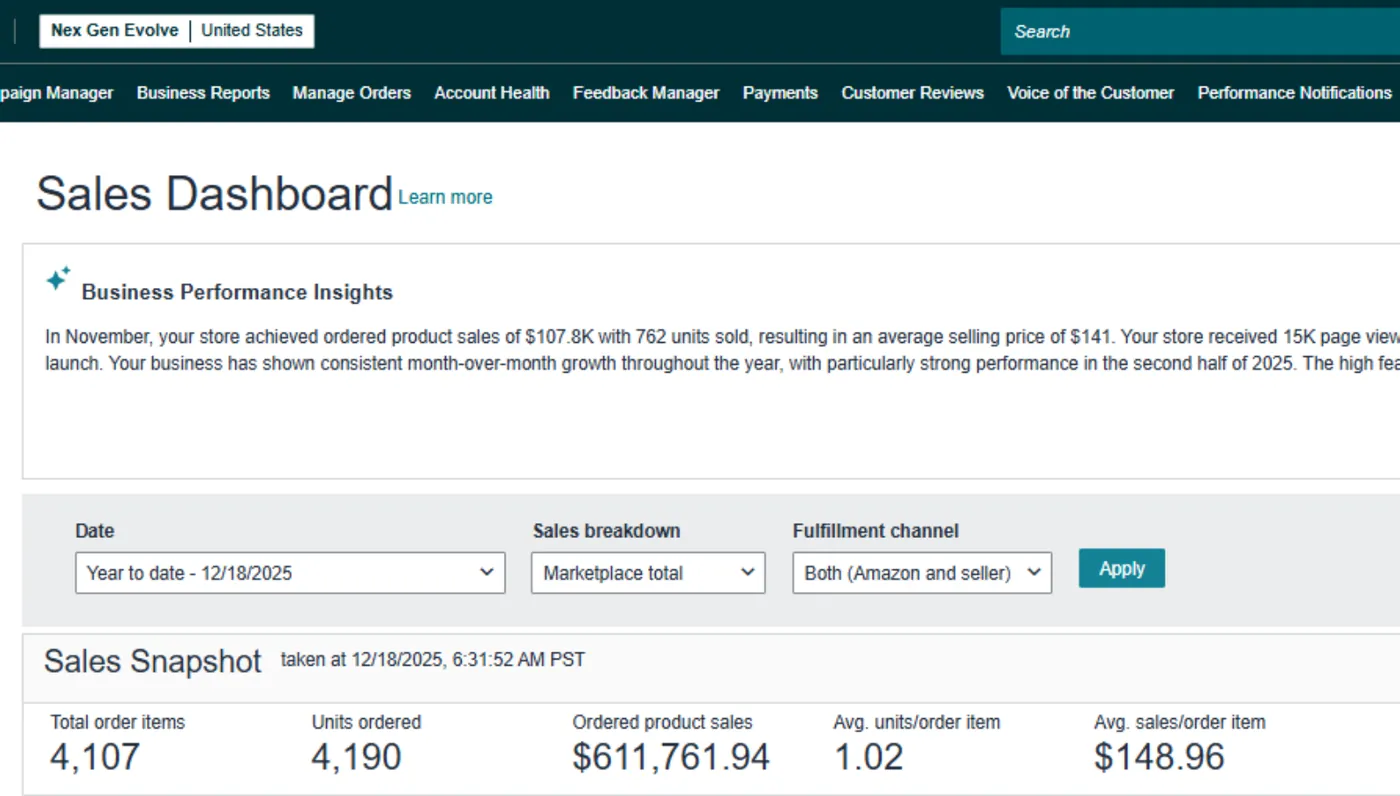 RIPTIC Amazon Case Study 21 RIPTIC Sales dashboard, 2025